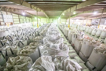 Bags of edible beans in warehouse