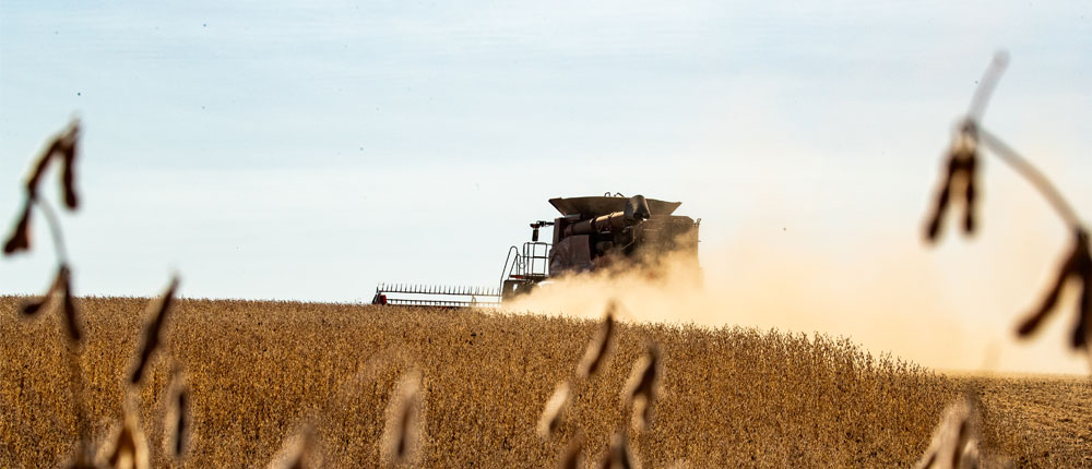 A tractor runs through a farm of soybeans.