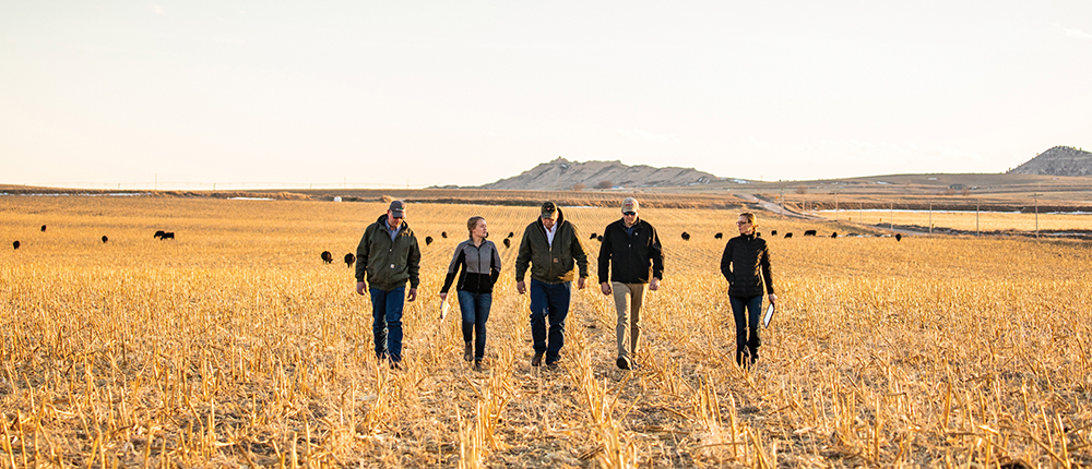 Growers walking in field with agronomist