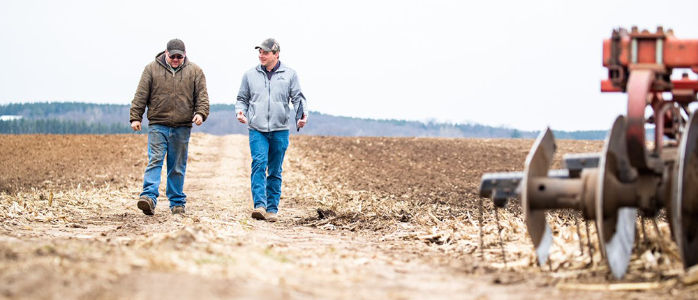 Two farmers walking down a dirt road in early spring. 